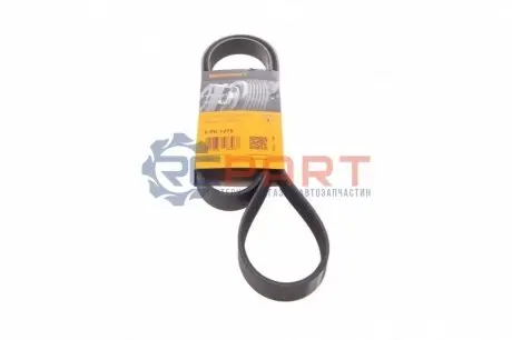 Ремінь генератора Opel Astra G/H/ Combo/Corsa C/Meriva A 1.7CDI 04- Contitech 6PK1275 Купити в Україні