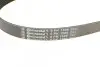 Фото Ремінь генератора Fiat Doblo 1.3D Multijet/1.3JTD/Ford Focus 1.8/2.0 04- Contitech (6PK1306) зображення 4