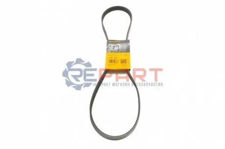 Фото Ремінь генератора Fiat Doblo 1.3D Multijet/1.3JTD/Ford Focus 1.8/2.0 04- Contitech (6PK1306) зображення 1