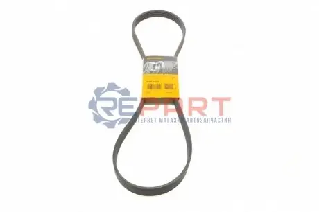Фото Ремінь генератора Fiat Doblo 1.3D Multijet/1.3JTD/Ford Focus 1.8/2.0 04- Contitech (6PK1310) зображення 1