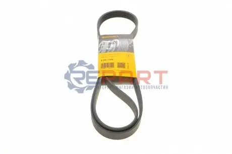 Фото Ремінь генератора VW T4 2.5 81kw 90-03/Fiat Bravo 1.9D Multijet 07-14 Contitech (6PK1345) зображення 1