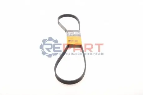 Поліклиновий ремінь CHEVROLET AVEO FIAT BRAVO II, SCUDO, STILO FORD C-MAX, FOCUS C-MAX, FOCUS II MITSUBISHI PAJERO III OPEL ASTRA J, CORSA D, CORSA E 1.3D-2.5D 09.01 Contitech 6PK1360 Купити в Україні