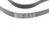 Фото Ремінь генератора Citroen Berlingo/Peugeot Partner 1.6HDI (-AC) ch.10571- Contitech (6PK1370) зображення 3
