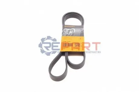 Ремінь генератора Citroen Berlingo/Peugeot Partner 1.6HDI (-AC) ch.10571- Contitech 6PK1370 Купити в Україні
