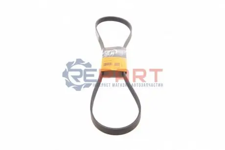 Ремінь генератора Renault Kangoo 1.9D 98- Contitech 6PK1400 Купити в Україні