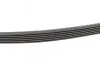 Фото Пасок поликлиновый Citroen Berlingo/Fiat Scudo 1.9D Contitech (6PK1432) изображение 2