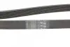 Фото Поліклиновий ремінь CHRYSLER NEON II, PT CRUISER CITROEN BERLINGO, JUMPY I, XSARA FIAT SCUDO FORD ESCORT VI, FIESTA, FIESTA IV HYUNDAI ACCENT II, GETZ, MATRIX 1.3-1.9D 01.95-12.15 Contitech (6PK1440) зображення 3