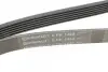Фото Поліклиновий ремінь FORD FIESTA, FIESTA IV, KA ROVER 200, 200 II, 400, 400 II, 45 I, 600 I, 800 1.3/2.0/2.0D 10.86-11.08 Contitech (6PK1448) зображення 4