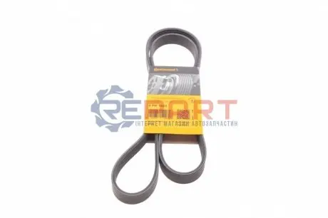 Ремінь генератора Peugeot 206/Partner/Citroen Berlingo/VW Polo 1.1-1.6 02- Contitech 6PK1453 Купити в Україні