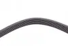 Фото Поліклиновий ремінь BMW 3 (E46), 3 (E90), 3 (E92), 3 (E93), Z3 (E36), Z4 (E85), Z4 (E86) CHEVROLET CORSA DAIHATSU MATERIA, SIRION, TERIOS FORD TOURNEO CONNECT 1.2-4.4 03.86 Contitech (6PK1460) зображення 4