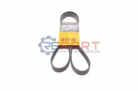 Поліклиновий ремінь  BMW 3 (E46), 3 (E90), 3 (E92), 3 (E93), Z3 (E36), Z4 (E85), Z4 (E86) CHEVROLET CORSA DAIHATSU MATERIA, SIRION, TERIOS FORD TOURNEO CONNECT 1.2-4.4 03.86 Contitech 6PK1460 Купити в Україні
