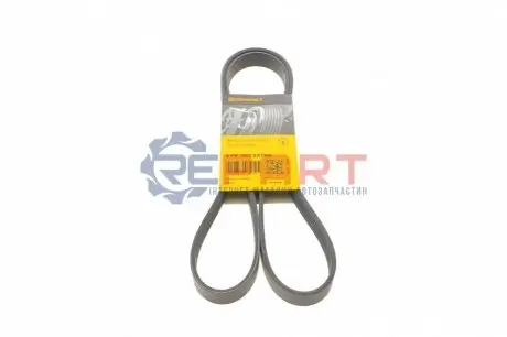 Фото Ремінь генератора Ford Transit Connect/Focus/Fiesta 1.0 EcoBoost 13- (6PK1502) Contitech (6PK1502EXTRA) зображення 1