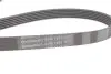 Комплект ремня генератора Contitech (6PK1515K1) изображение 2