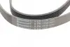 Фото Ремінь генератора Fiat Doblo1.3-1.6 D 10-/Opel Astra F/Corsa B/Vectra B 1.4-1.8/ 94-03 Contitech (6PK1530) зображення 4