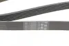 Фото Поліклиновий ремінь CITROEN BERLINGO, NEMO, SAXO, XSARA, XSARA PICASSO FIAT FIORINO, QUBO PEUGEOT 206, 206+, BIPPER, BIPPER TEPEE, PARTNER, PARTNER ORIGIN 1.1-1.6LPG 02.96 Contitech (6PK1564) зображення 4