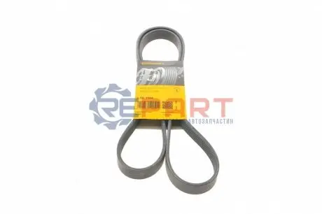Поліклиновий ремінь CITROEN BERLINGO, NEMO, SAXO, XSARA, XSARA PICASSO FIAT FIORINO, QUBO PEUGEOT 206, 206+, BIPPER, BIPPER TEPEE, PARTNER, PARTNER ORIGIN 1.1-1.6LPG 02.96 Contitech 6PK1564 Купити в Україні