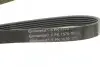 Фото Ремінь генератора Audi A4 00-08 Contitech (6PK1570) зображення 4