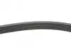 Фото Ремень генератора VW T4/Renault Laguna II/Peugeot 407/807/Citroen C5/C8 2.0-3.0 90-10 - Ремень генератора VW T4/Renault Laguna II/Peugeot 407/807/Citroen C5/C8 2.0-3.0 90-10. Contitech (6PK1590) изображение 2