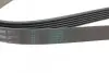 Фото Ремень генератора VW T4/Renault Laguna II/Peugeot 407/807/Citroen C5/C8 2.0-3.0 90-10 - Ремень генератора VW T4/Renault Laguna II/Peugeot 407/807/Citroen C5/C8 2.0-3.0 90-10. Contitech (6PK1590) изображение 3