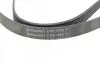 Фото Ремень генератора VW T4/Renault Laguna II/Peugeot 407/807/Citroen C5/C8 2.0-3.0 90-10 - Ремень генератора VW T4/Renault Laguna II/Peugeot 407/807/Citroen C5/C8 2.0-3.0 90-10. Contitech (6PK1590) изображение 4