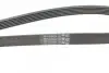 Фото Ремень генератора поликлиновый CONTINENTAL Contitech (6PK1600) изображение 3