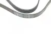 Фото Ремень генератора поликлиновый CONTINENTAL Contitech (6PK1600) изображение 4