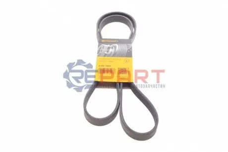 Ремінь генератора Opel Astra 1.7CDTI/Passat B6 3.2FSI 05-10 Contitech 6PK1623 Купити в Україні