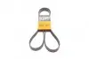 Ремень генератора поликлиновый CONTINENTAL Contitech (6PK1642) изображение 1