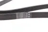 Ремень генератора поликлиновый CONTINENTAL Contitech (6PK1642) изображение 2