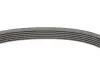 Фото Комплект ременя генератора MB C-class (W205) 2.2D (OM651) 14-18 Contitech (6PK1642K3) зображення 2