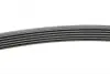 Фото Ремінь генератора Fiat Scudo/Citroen Berlingo/VW Golf Contitech (6PK1660) зображення 2