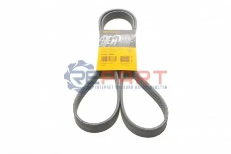 Ремінь генератора Fiat Scudo/Citroen Berlingo/VW Golf Contitech 6PK1660 Купити в Україні