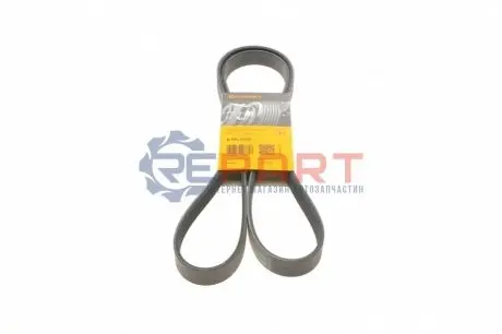 Ремінь генератора Fiat Ducato 2.2/Ford Transit 2.2/Opel Combo 1.3 CDTI 06- Contitech 6PK1670 Купити в Україні