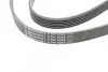 Фото Поліклиновий ремінь CITROEN BERLINGO, JUMPY I, XSARA PEUGEOT 206, EXPERT, PARTNER, PARTNER ORIGIN RENAULT LAGUNA I SKODA FELICIA CUBE, FELICIA I, FELICIA II 1.3/1.9D/2.2D 11.93-12.15 Contitech (6PK1680) зображення 3