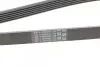Фото Поліклиновий ремінь CITROEN BERLINGO, JUMPY I, XSARA PEUGEOT 206, EXPERT, PARTNER, PARTNER ORIGIN RENAULT LAGUNA I SKODA FELICIA CUBE, FELICIA I, FELICIA II 1.3/1.9D/2.2D 11.93-12.15 Contitech (6PK1680) зображення 4