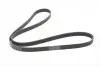 Фото Поліклиновий ремінь CITROEN BERLINGO, JUMPY I, XSARA PEUGEOT 206, EXPERT, PARTNER, PARTNER ORIGIN RENAULT LAGUNA I SKODA FELICIA CUBE, FELICIA I, FELICIA II 1.3/1.9D/2.2D 11.93-12.15 Contitech (6PK1680) зображення 5