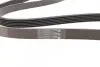 Фото Ремень генератора поликлиновый CONTINENTAL Contitech (6PK1693) изображение 3
