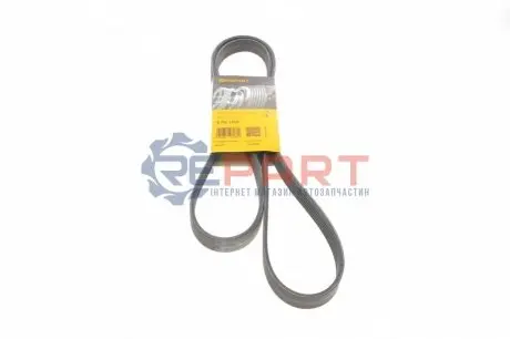 Ремінь генератора Peugeot 206/Audi A6 2.5TDI 94- Contitech 6PK1725 Купити в Україні