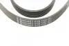 Фото Поліклиновий ремінь VOLVO 850 ALFA ROMEO 166 CHRYSLER GRAND VOYAGER V, VOYAGER V CITROEN BERLINGO, C5 I, C5 II, C8, EVASION, JUMPY I, XANTIA, XSARA, XSARA PICASSO, ZX 1.4-2.8D 03.91 Contitech (6PK1740) зображення 3