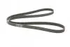 Фото Поліклиновий ремінь VOLVO 850 ALFA ROMEO 166 CHRYSLER GRAND VOYAGER V, VOYAGER V CITROEN BERLINGO, C5 I, C5 II, C8, EVASION, JUMPY I, XANTIA, XSARA, XSARA PICASSO, ZX 1.4-2.8D 03.91 Contitech (6PK1740) зображення 5