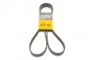 Фото Ремень генератора поликлиновый CONTINENTAL Contitech (6PK1743) изображение 1