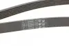 Фото Ремень генератора поликлиновый CONTINENTAL Contitech (6PK1743) изображение 3