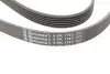 Фото Ремень генератора поликлиновый CONTINENTAL Contitech (6PK1743) изображение 4