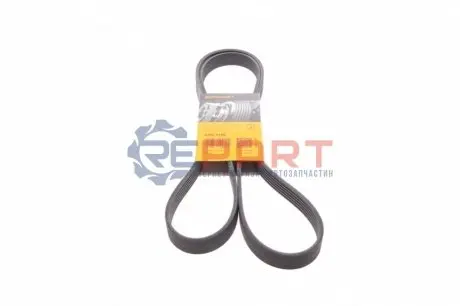 Ремінь генератора VW LT 2.5TDI 96-01/Peugeot Expert 1.9D/2.0HDI 98- Contitech 6PK1750 Купити в Україні