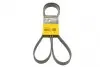 Ремень генератора поликлиновый CONTINENTAL Contitech (6PK1800) изображение 1
