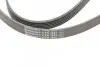 Ремень генератора поликлиновый CONTINENTAL Contitech (6PK1800) изображение 4