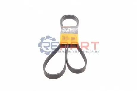 Ремінь генератора Fiat Doblo 1.9D/JTD 01- (+AC) Contitech 6PK1815 Купити в Україні