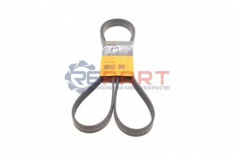 Фото 1 — Ремінь генератора Fiat Doblo 1.9D/JTD 01- (+AC) Contitech (6PK1820) Фото Ремінь генератора Fiat Doblo 1.9D/JTD 01- (+AC) Contitech (6PK1820) зображення 1