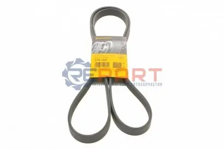 Ремінь генератора Renault Master 2.2/2.5 dCi Contitech 6PK1830 Купити в Україні