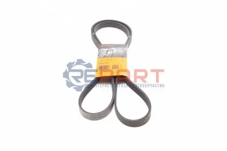Ремінь генератора Audi/BMW/Chevrolet/MB/Opel (6PK1875) Contitech 6PK1873 Купити в Україні